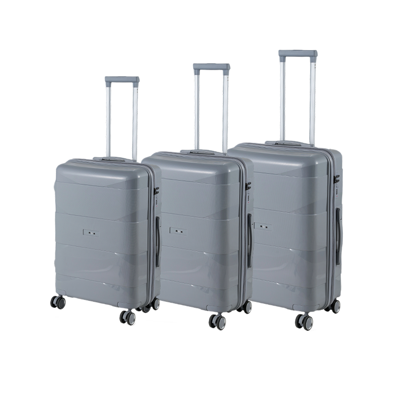 PP6 الأمتعة PP6 الأمتعة