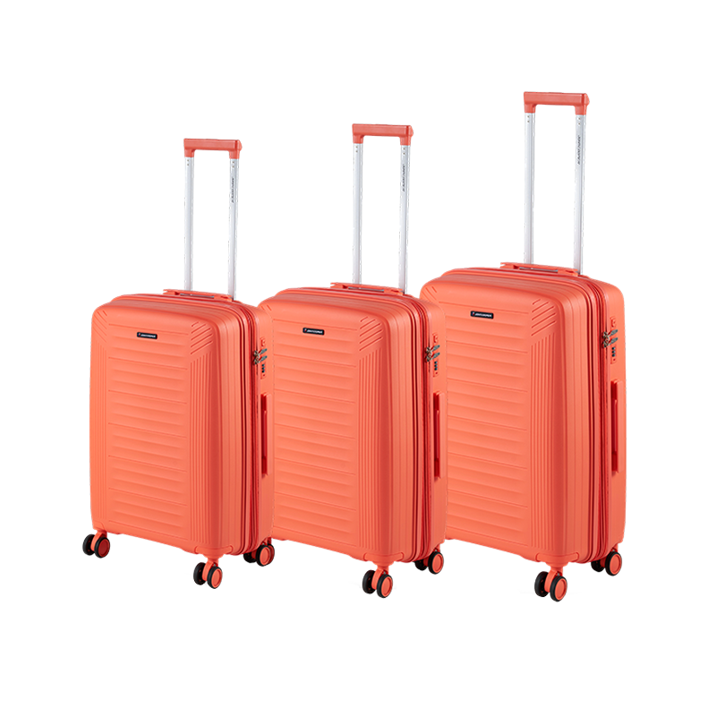 PP10 الأمتعة PP10 الأمتعة