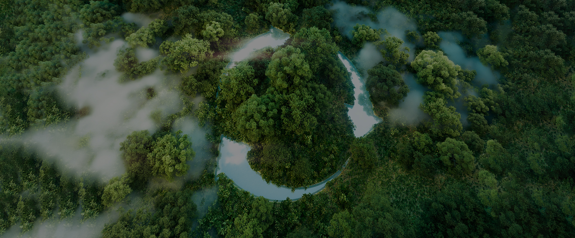 شركة Jinwanda للحقائب والمنتجات الجلدية المحدودة برويان